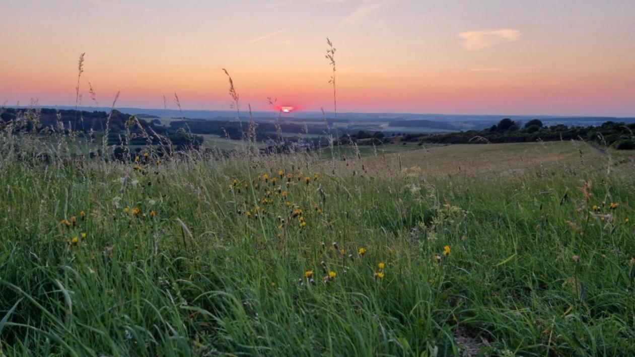 Ferienwohnung Eifelweh - Lieblingszeit Berndorf  ภายนอก รูปภาพ